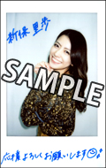 新保里歩