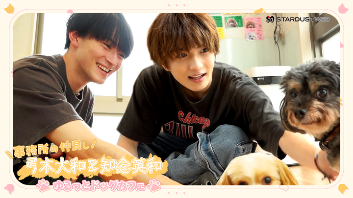 MOVIE　弓木大和＆知念英和『ゆるっとドッグカフェ』 - STARDUST WEB